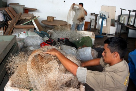 SEMA DIVULGA NOVOS NÚMEROS DA PIRACEMA