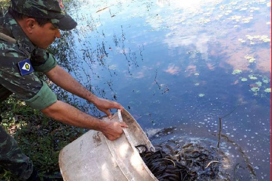 Sema intensifica fiscalização contra pesca predatória em Cuiabá