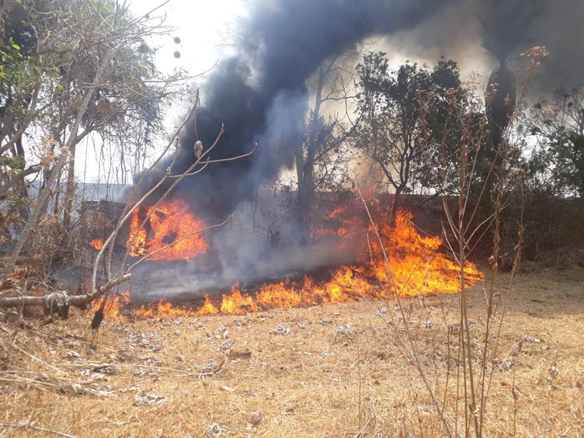 Após queimadas, prefeito Tatá Amaral busca ações para amenizar e evitar novos focos de incêndios em sua segunda gestão