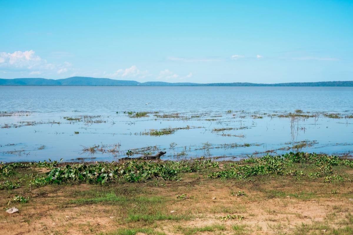 Estudo mostra que Baía de Chacororé foi reduzida em 59% em 2020