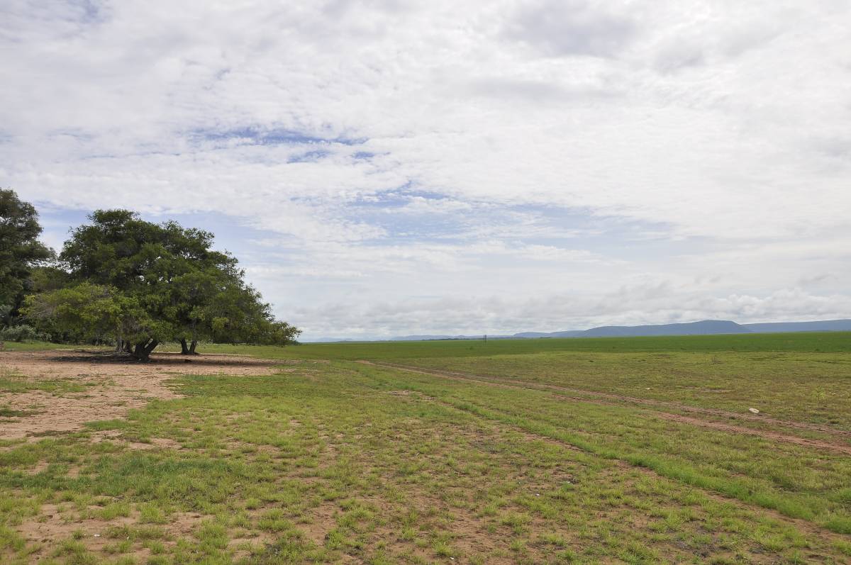 Faissal pede apoio para a abertura de uma CPI sobre o Pantanal