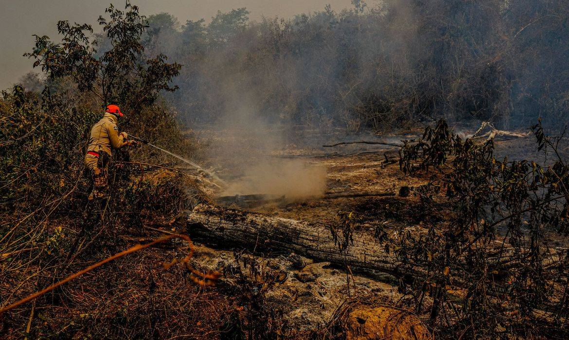 Publicação internacional alerta para a possibilidade do Pantanal deixar de existir