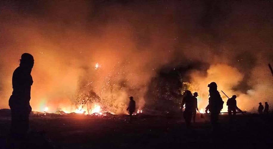 Pesquisadores identificam causas da seca extrema que afetou o Pantanal