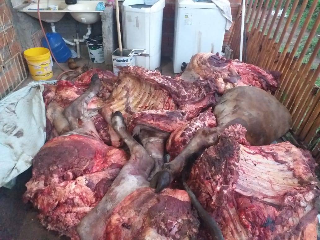 Bandido é preso após render funcionário, matar e descarnar bois na comunidade de Morrinho 