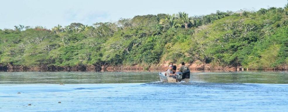 Período da piracema começa em outubro e vai até janeiro em Mato Grosso