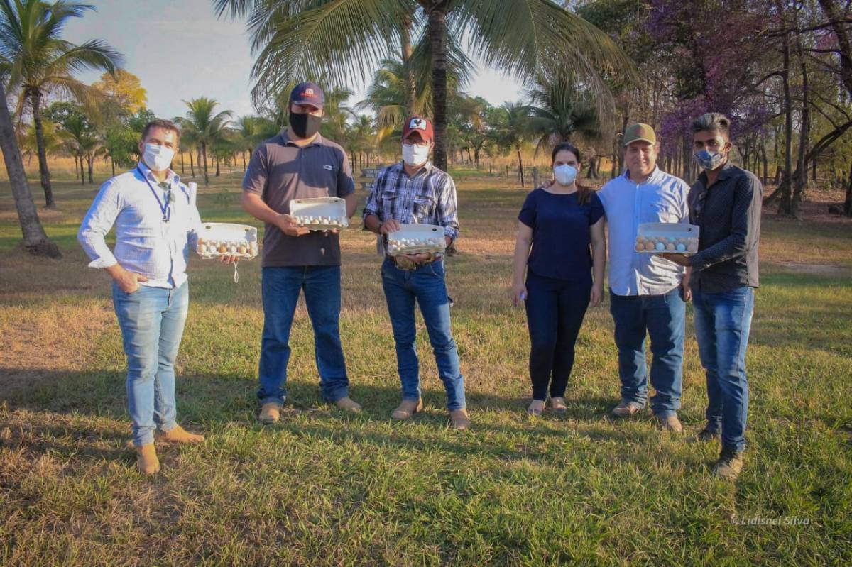 Agricultura familiar de Nova Brasilândia se torna referência para outros municípios de MT