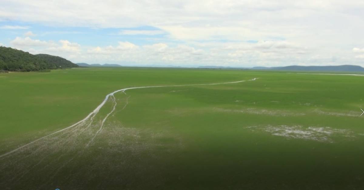 Perícia realizada pelo MP e transformada em publicação científica, confirma que redução do volume de água das Baias, esta relacionada com a pavimentação da rodovia MT-040 e obstrução de corixos