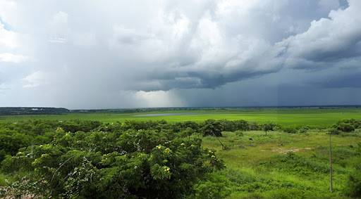 Pantanal e outras regiões de MT devem ter chuva nesta sexta-feira, prevê meteorologia