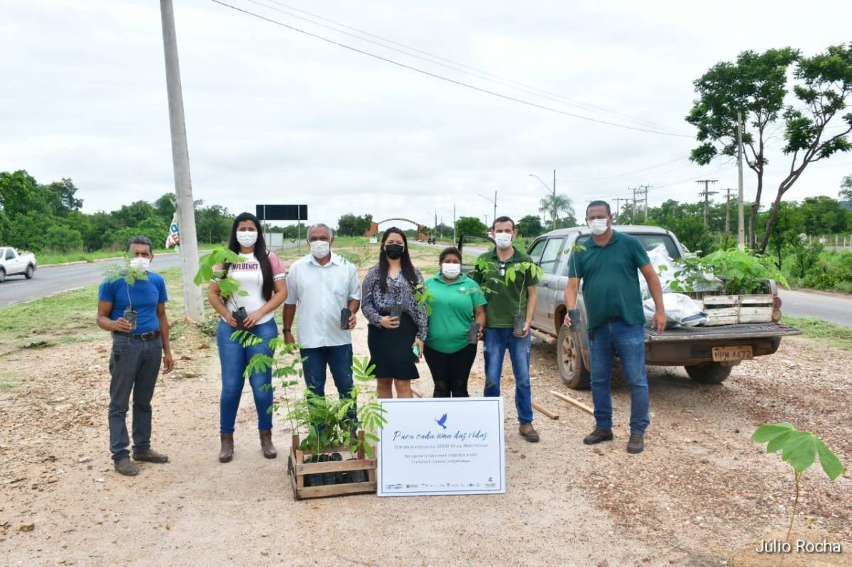 Prefeita faz plantio de mudas em homenagem às vítimas da Covid-19