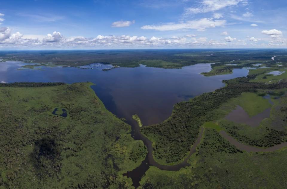 Como a degradação na Baía de Chacororé afeta a vida no Pantanal matogrossense