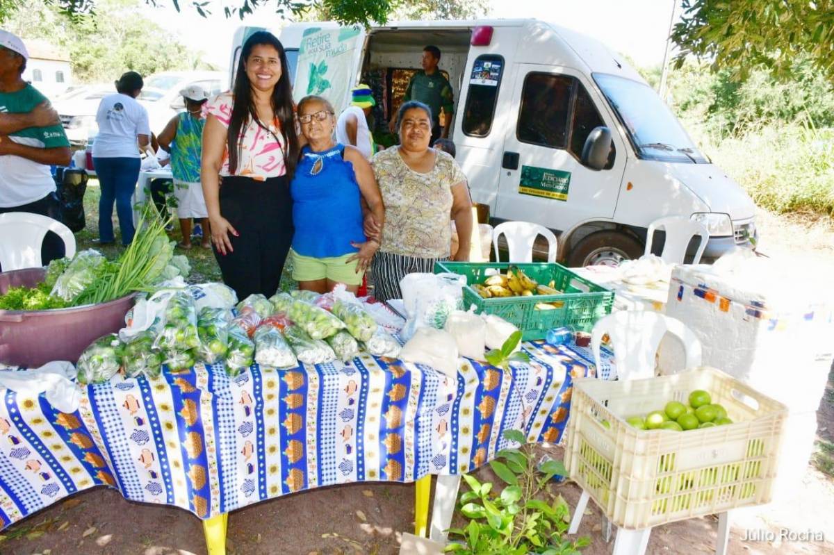 Projeto de Lei que vai modernizar a gestão de Francieli é aprovado por vereadores de Santo Antônio 