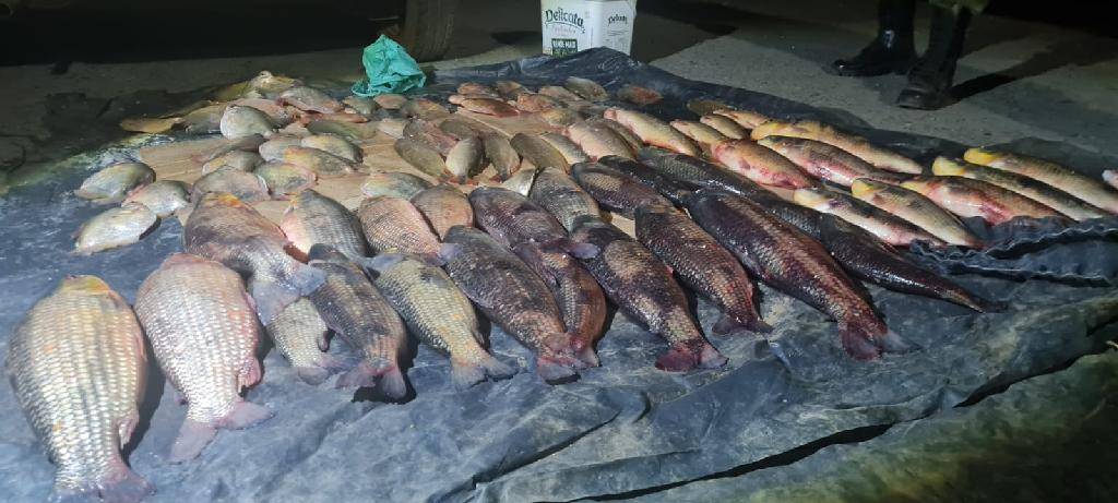Homem é preso com 103 peças de pescado em Santo Antônio do Leverger