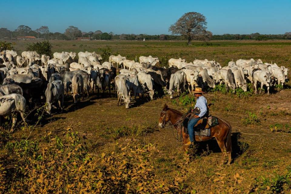 PL do Pantanal pulou trâmite e comunidades devem ser ouvidas, defendem entidades