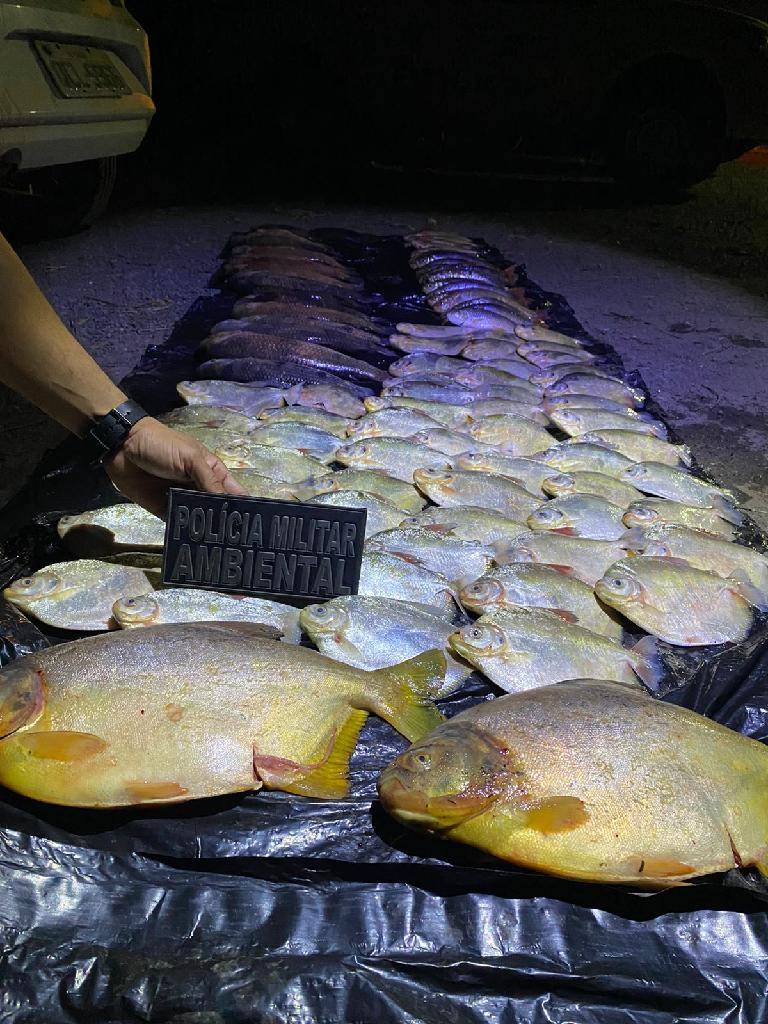 Batalhão Ambiental da PM apreende 45 quilos de pescado irregular durante fiscalização