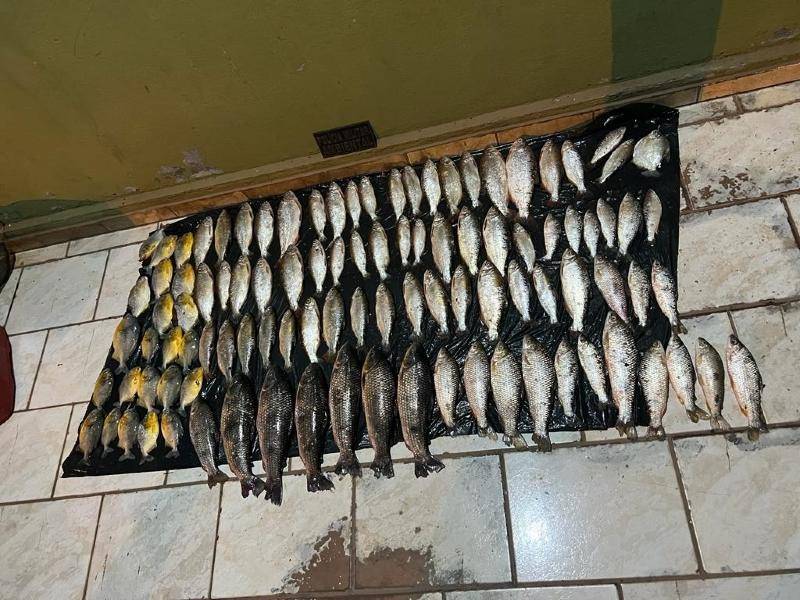 Pescador de Barão de Melgaço é preso com mais de 100 peixes
