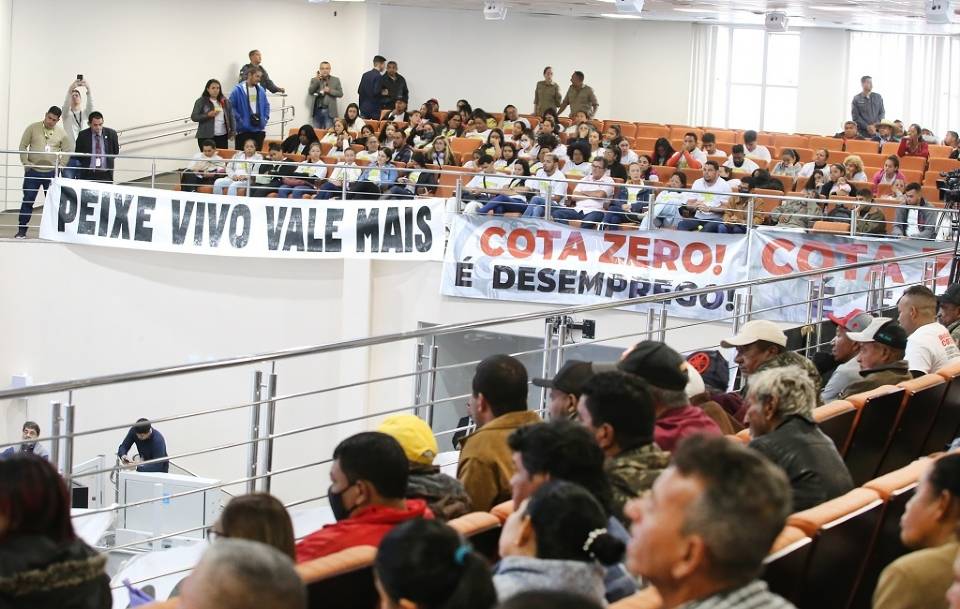 ALMT aprova projeto que proíbe transporte e comercialização do peixe em MT