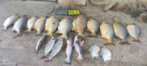 Sema apreende 20 kg de pescado ilegal em Santo Antônio de Leverger