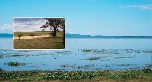 Empresa que quer PCHs no Rio Cuiabá tenta impedir recuperação do Pantanal