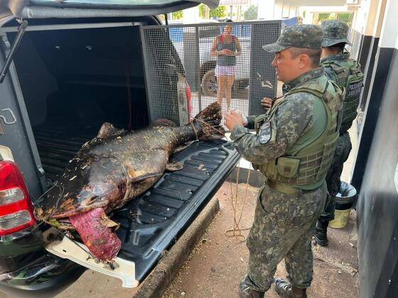 Dupla é presa com jaú de quase 70 kg e outros pescados ilegais;<VIDEO>