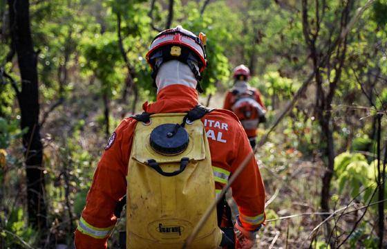 Governo de MT proíbe uso do fogo para limpeza e manejo de áreas no Pantanal até 31 de dezembro