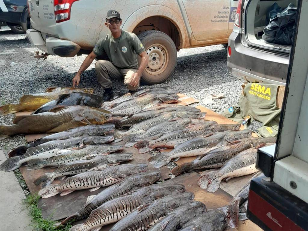 Fiscalização apreende jacaré e 371 kg de pescado ilegal e aplica R$ 61 mil em multas