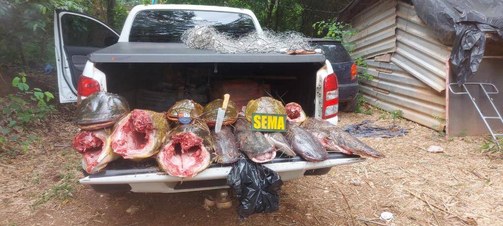 Sema apreende 118 kg de pescado ilegal durante operação na comunidade São Gonçalo Beira Rio