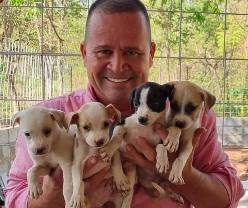 Bandidos invadem abrigo de animais de vereador de Cuiabá e matam filhotes