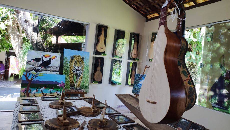 Museu realiza exposição sobre a viola de cocho em Santo Antônio de Leverger