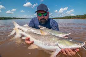 Pescador amador só pode atuar na modalidade 'pesque e solte'