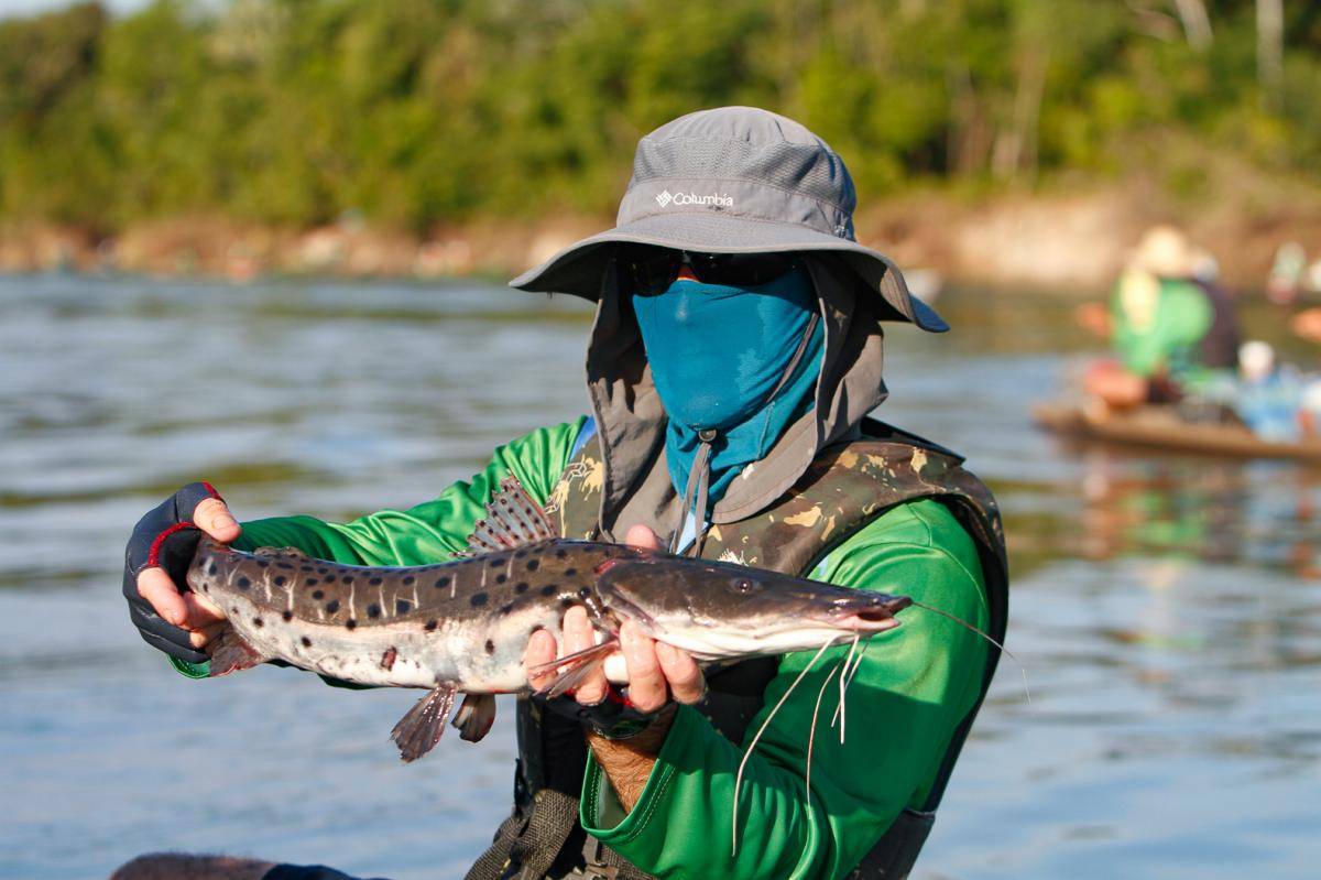 Governo não pode tudo, mas Lei da Pesca é essencial para MT, defende Mauro