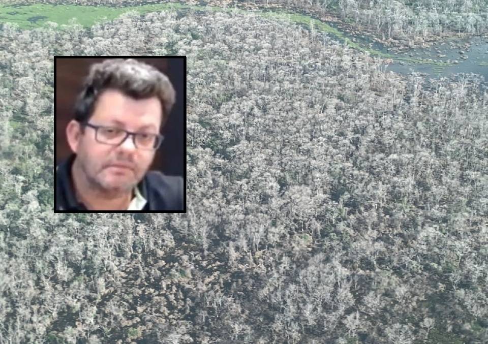 Justiça bloqueia 60 mil cabeças de gado do pecuarista que desmatou 81 mil hectares no Pantanal