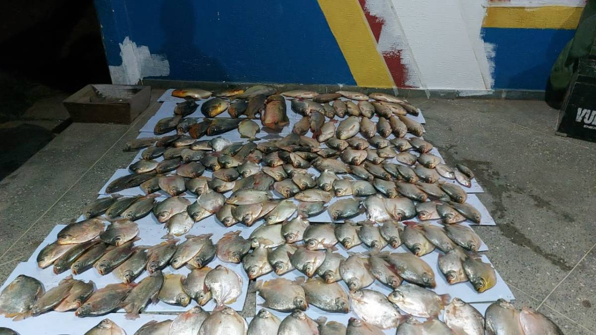 Dupla é detida com pescado irregular em bloqueio da 3ª CIPM de Leverger
