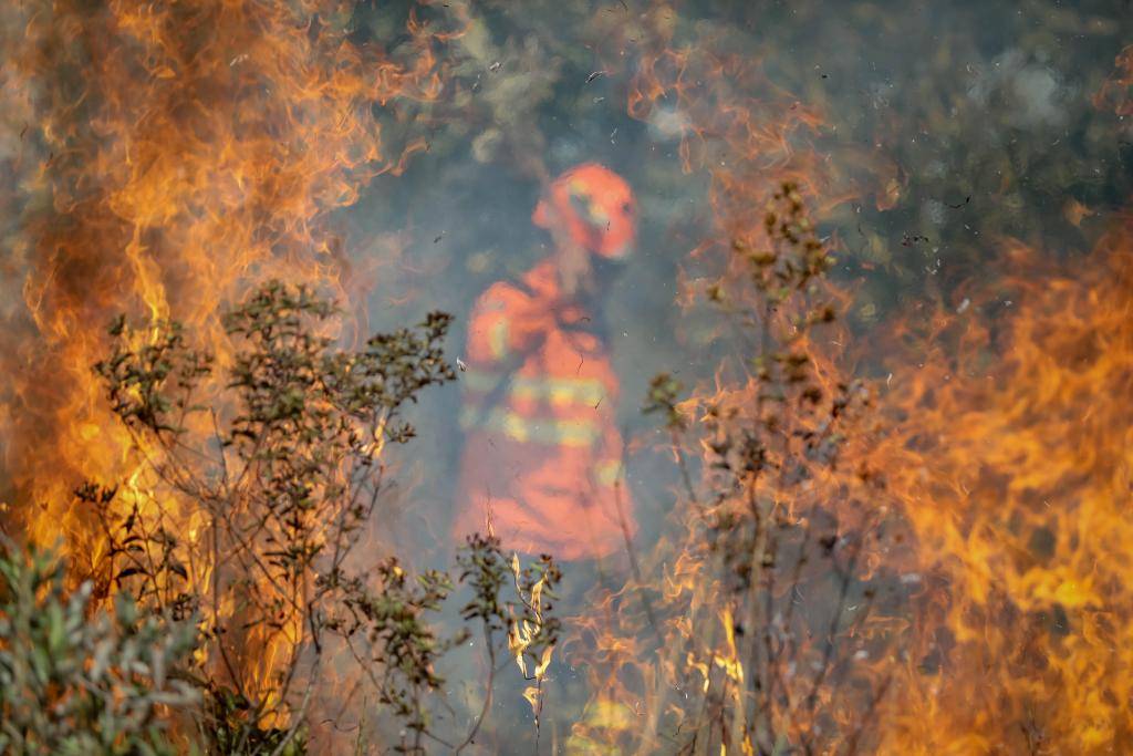 Governo de MT pede apoio da população e alerta sobre seca severa no Pantanal