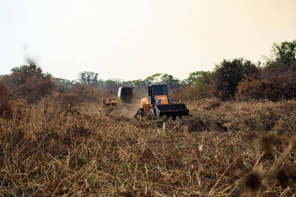 Sema publica regras para construção de aceiros de até 50 metros no Pantanal mato-grossense