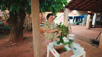 Criadores de borboletas têm vida mudada com projeto desenvolvido no Pantanal