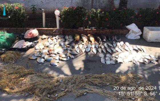 Policiais apreendem 102 quilos de pescado e 33 quilos de carne de jacaré