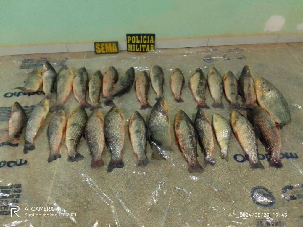 Sema e PM apreendem 28 exemplares de Piavuçu em ação contra pesca predatória em Barão de Melgaço