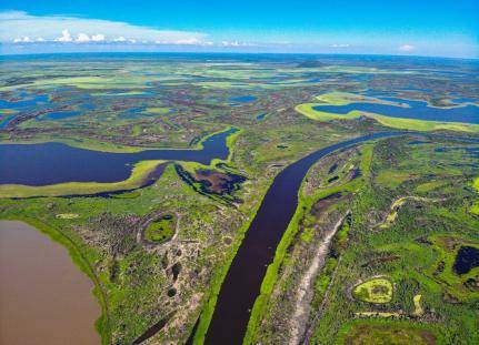 PV pede anulação de lei de MT que altera normas de proteção do Pantanal